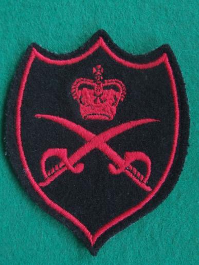 British Army Physical Training Instructor Tracksuit Badge