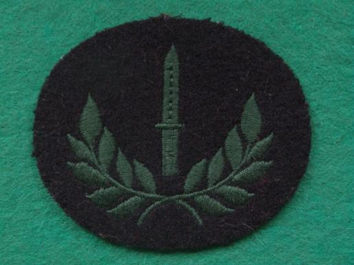 British Army Royal Irish Rangers Class 1 Infantryman Award Badge 