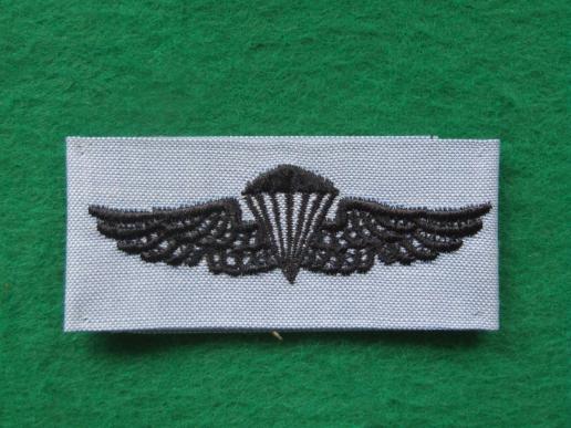 USA Navy Parachute Wings