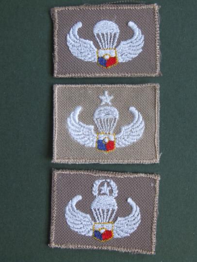 Philippines Army Parachute Wings Set