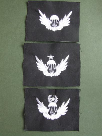 Republic of Korea Army Parachute Wings Set