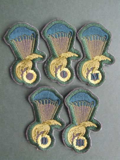 Poland 5 Air Force Parachute Instructor Wings