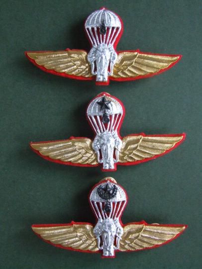 Thailand Army Parachute Wings Set