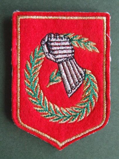 France 6th Light Armoured Division Shoulder Patch