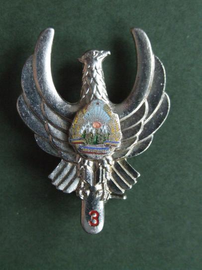 Romania Air Force 1965-1989 Navigator 3rd Class Award Badge