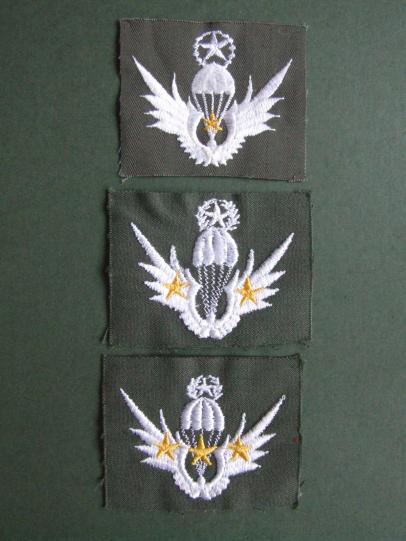 Republic of Korea Army Freefall Parachute Wings Set