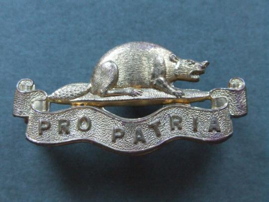 Canada Army Royal Canadian Regiment 1920-1939 Collar Badge