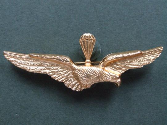 Italy Air Force Parachute Wings