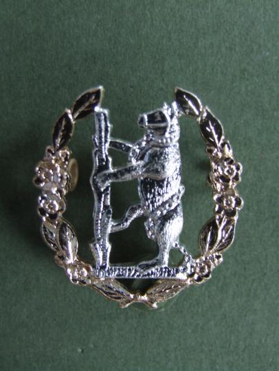 British Army The Queen's Own Warwickshire & Worcestershire Yeomanry Cap Badge