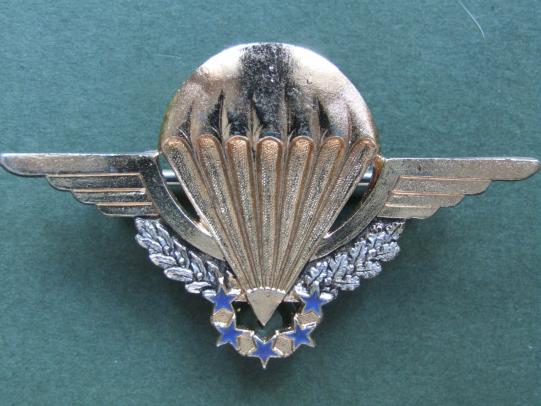 France H.A.L.O. Parachute Wings