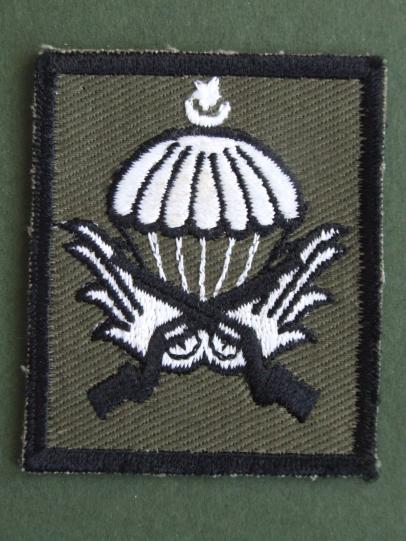 Turkey Army Parachute Wings