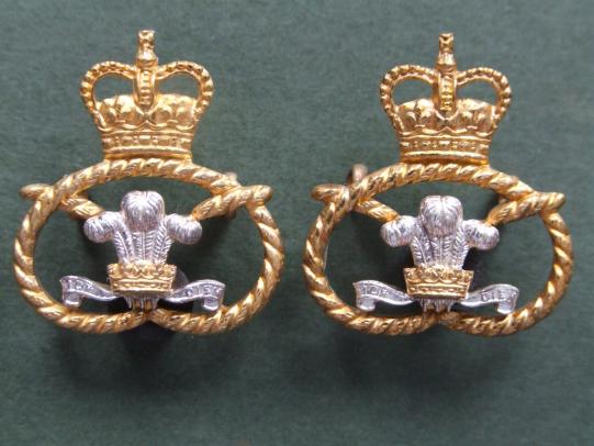 British Army The Staffordshire Regiment Officer's Collar Badges