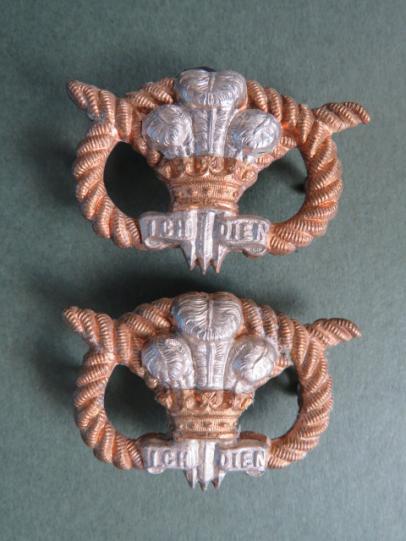 British Army The North Staffordshire Regiment Collar Badges