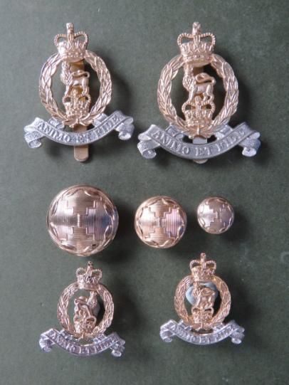 British Army Adjutant Generals Corps Badge Set
