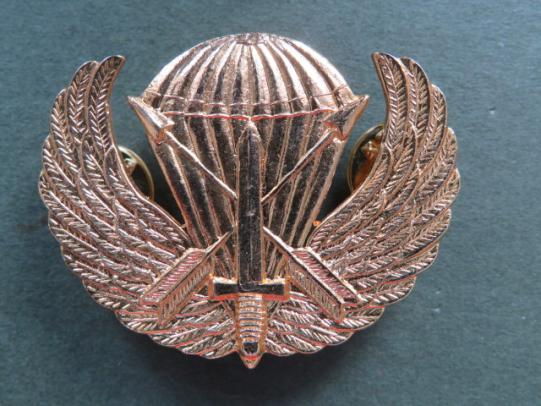 USA Army Special Forces Basic Parachute Wings