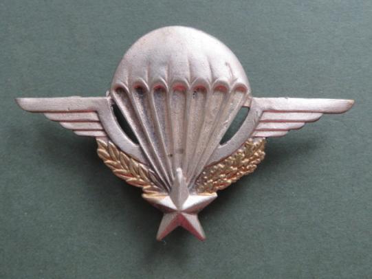 France Basic Parachute Wings