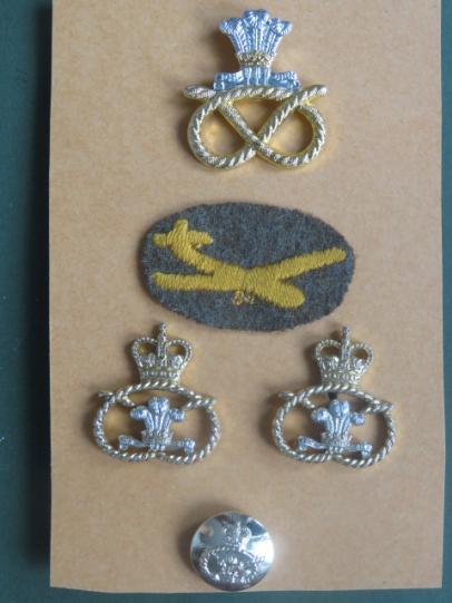 British Army The Staffordshire Regiment Badges and Button Set