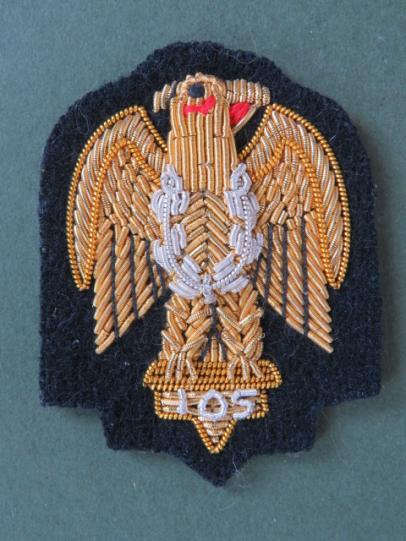British Army The Blues & Royals Arm Badge