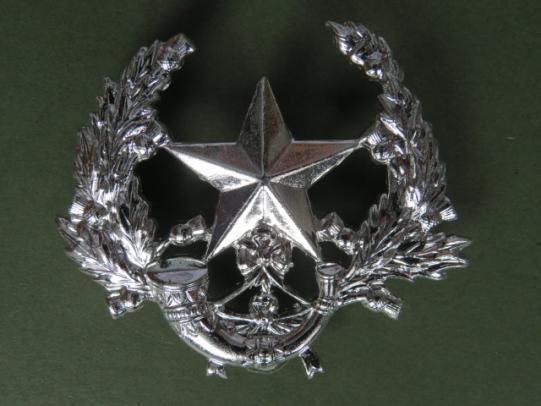 British Army Cameronians (Scottish Rifles) Cap Badge