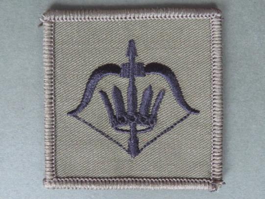 Royal Air Force Regiment 27 (Countering Chemical, Biological, Radiological and Nuclear (C-CBRN)) Squadron Patch