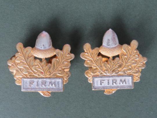 British Army The Mercian Regiment Collar Badges