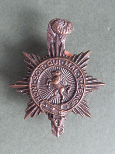 British Army The Prince of Wales's Royal Regiment Collar Badge