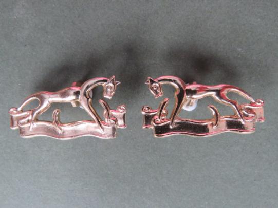 British Army The Berkshire & Westminster Dragoons Collar Badges