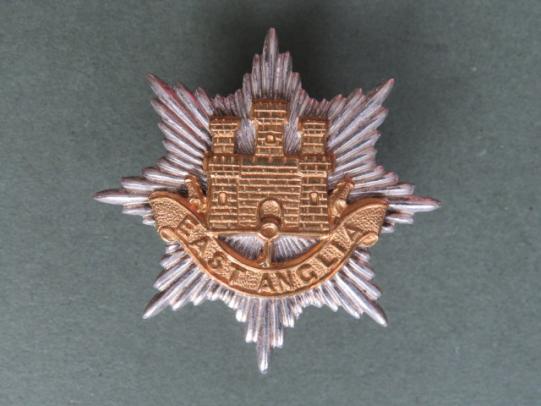 British Army The East Anglian Brigade Officer's Cap Badge