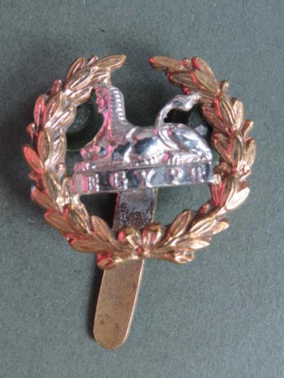 British Army Victorian Period Gloucestershire Regiment Back Badge