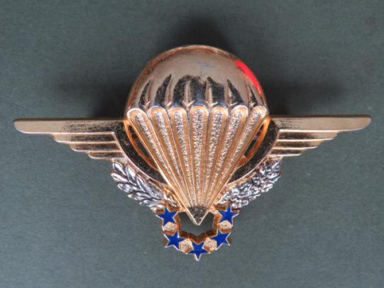 France H.A.L.O. Parachute Wings