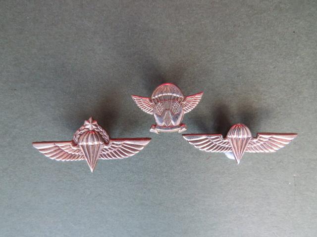 Israel Defence Force Freefall, Basic & Advanced Parachute Qualification Badge and Wings