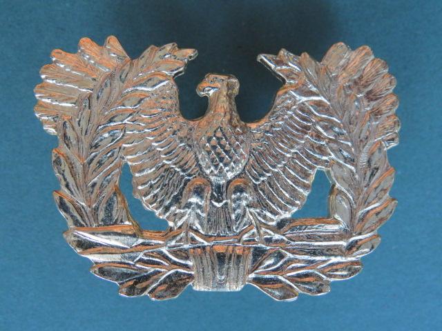 USA Army Warrant Officer's Cap Badge