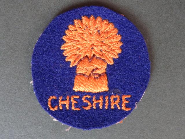 British Army 113th (Cheshire) Assault Engineer Regiment (T.A.) Patch