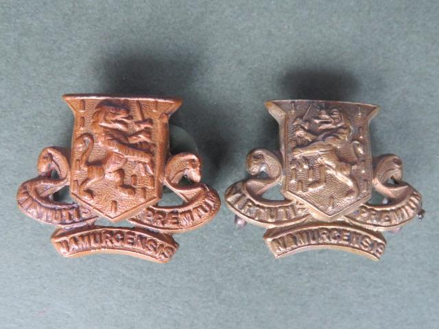 British Army The Royal Irish Regiment Post 1881 Collar Badges