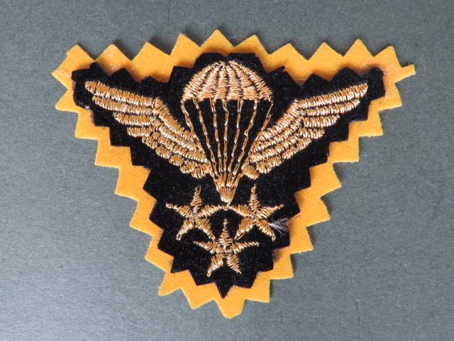 Iran Master Parachute Wings