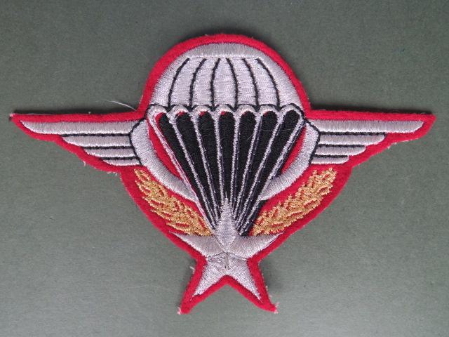 France Army Parachute Wings Patch