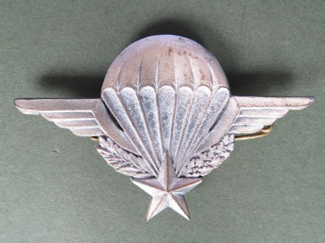 France Basic Parachute Wings