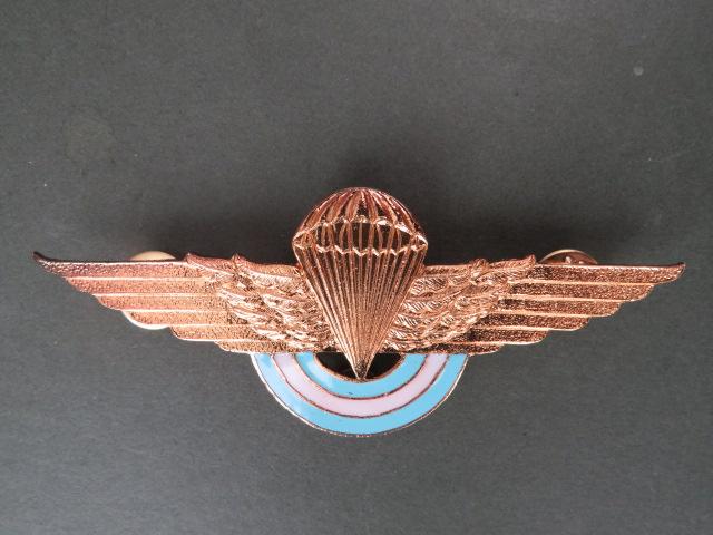 Argentine Air Force Officer's Parachute Wings