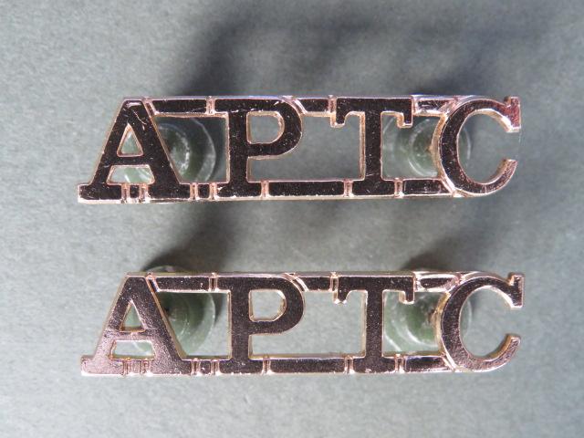 British Army The Army Physical Training Corps Shoulder Titles