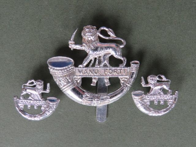 British Army The Herefordshire Light Infantry Cap & Collar Badges