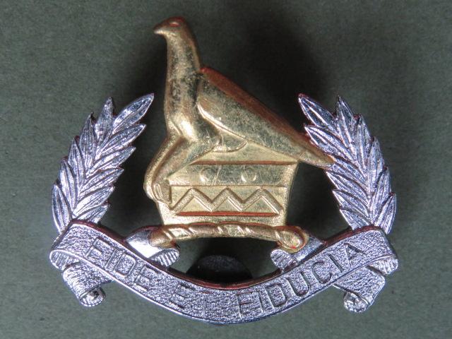 Zimbabwe Army Pay Corps Cap Badge