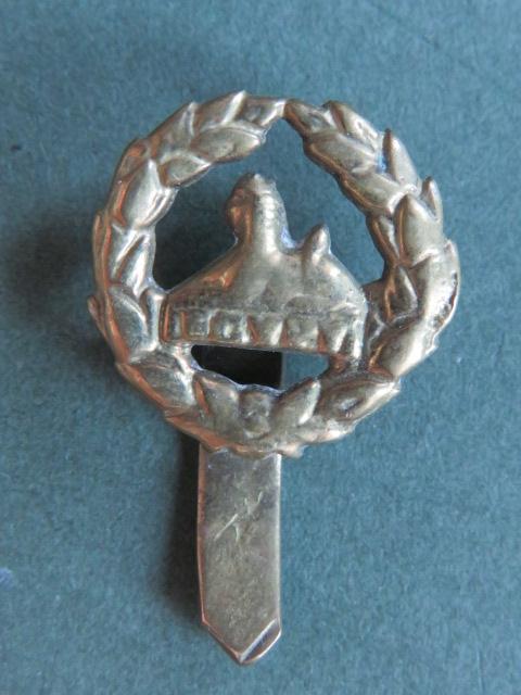 British Army The Gloucestershire Regiment Back Badge