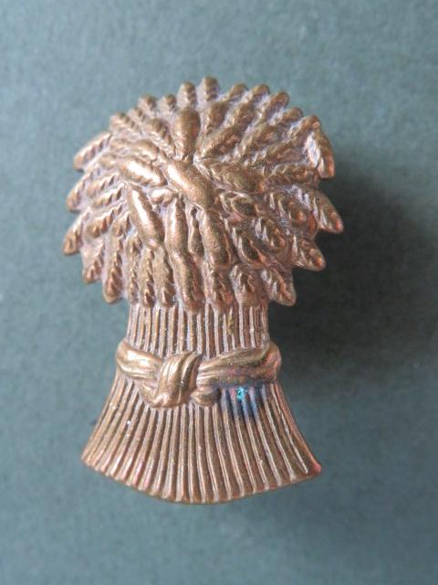 British Army Lothians & Border Horse Collar Badge