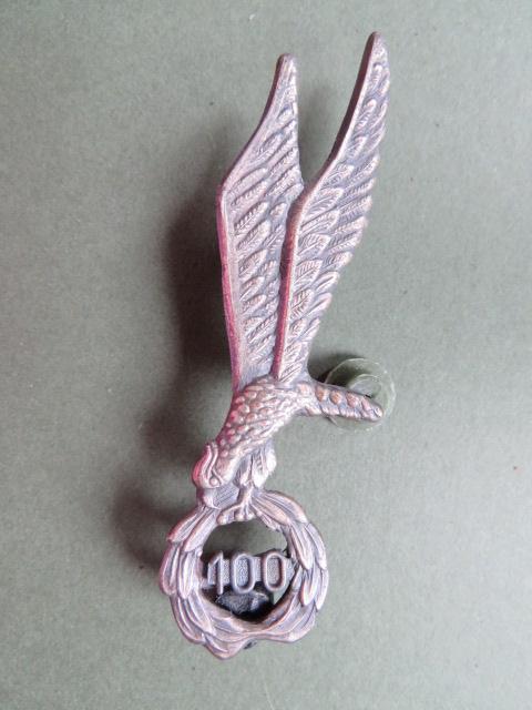 Poland Army Parachute Badge 100 Jumps