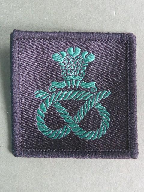 British Army Staffordshire Regiment Beret Badge