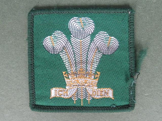 British Army Royal Regiment of Wales Beret Badge