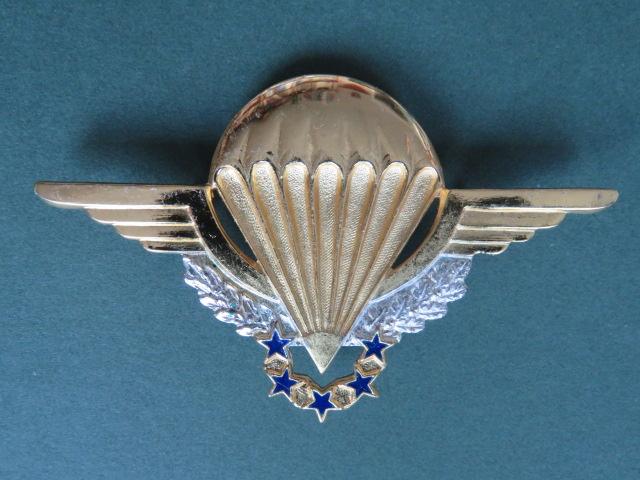 France H.A.L.O. Parachute Wings