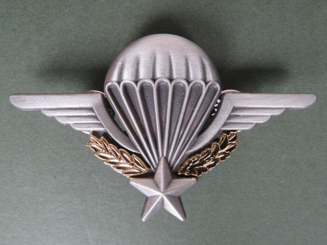 France Basic Parachute Wings