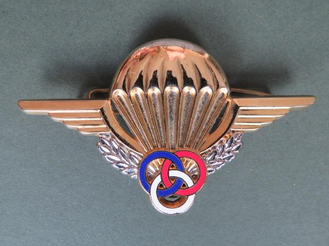 France Parachute Instructor Wings